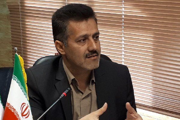 واردات دام ارز دولتی میگیرد
