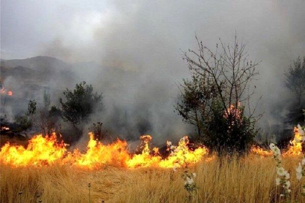 وقوع 16 مورد حریق مراتع طی یک روز در همدان