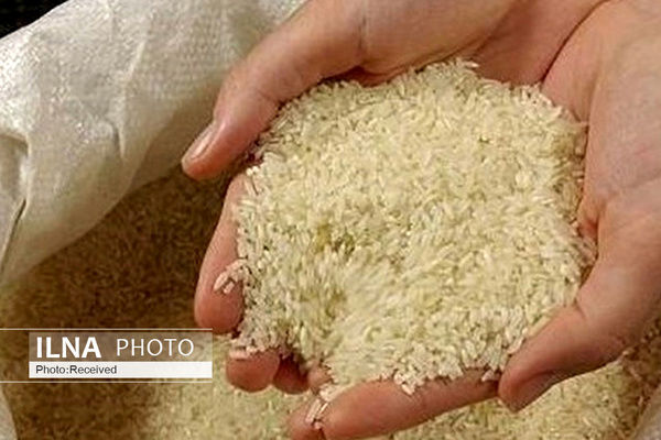 درخواست تخصیص ارز نیمایی برای واردات برنج